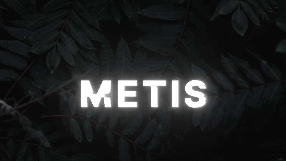 Metis
